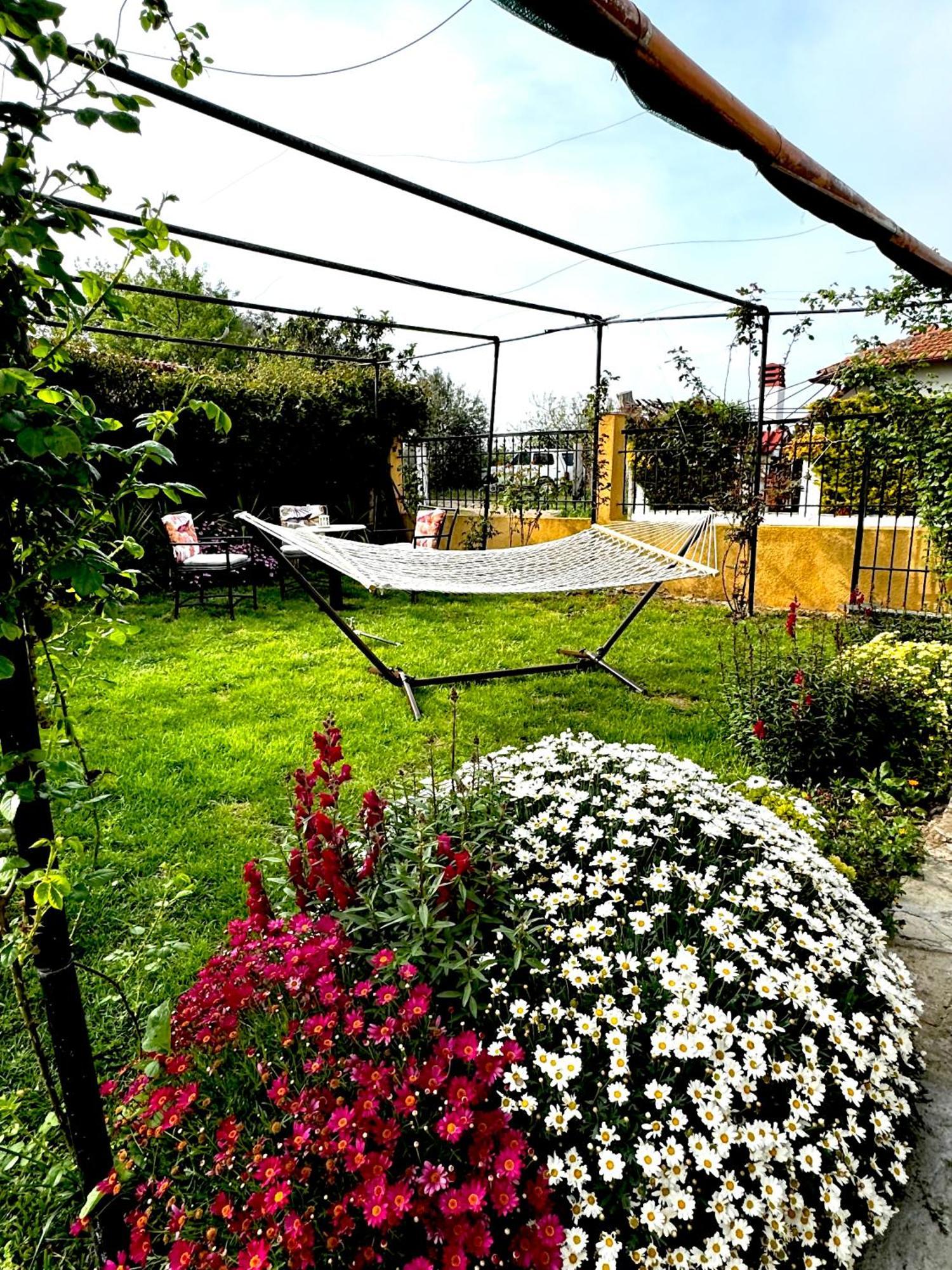 Villa Vaso With Jacuzzi Epanomi Dış mekan fotoğraf